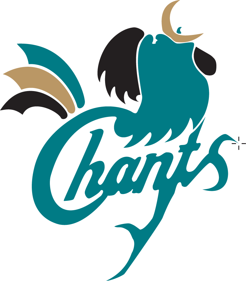Coastal Carolina Chanticleers 1995-2002 Primary Logo diy iron on heat transfer